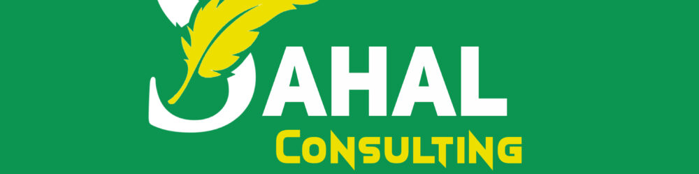sahalconsulting.com